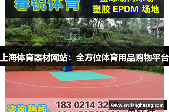 上海体育器材网站：全方位体育用品购物平台
